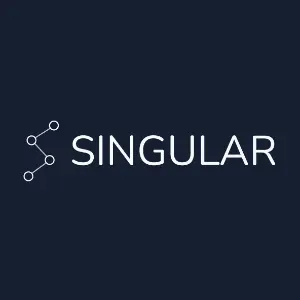 Imagem de SINGULAR SERVICOS LTDA